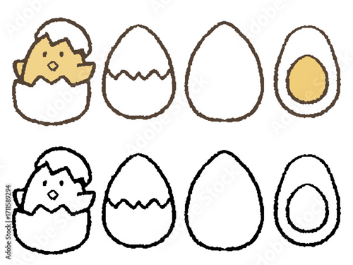 手描きの卵セット