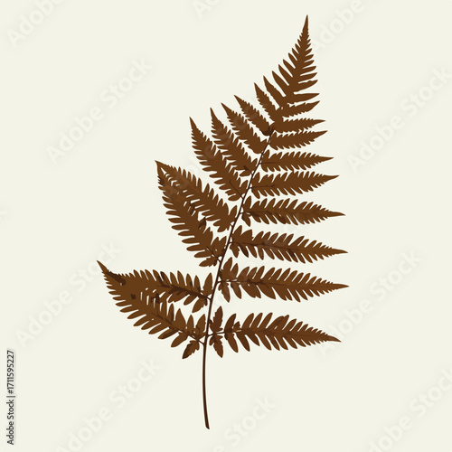 Brown fern frond isolated against a pale beige background, a simple graphic design element