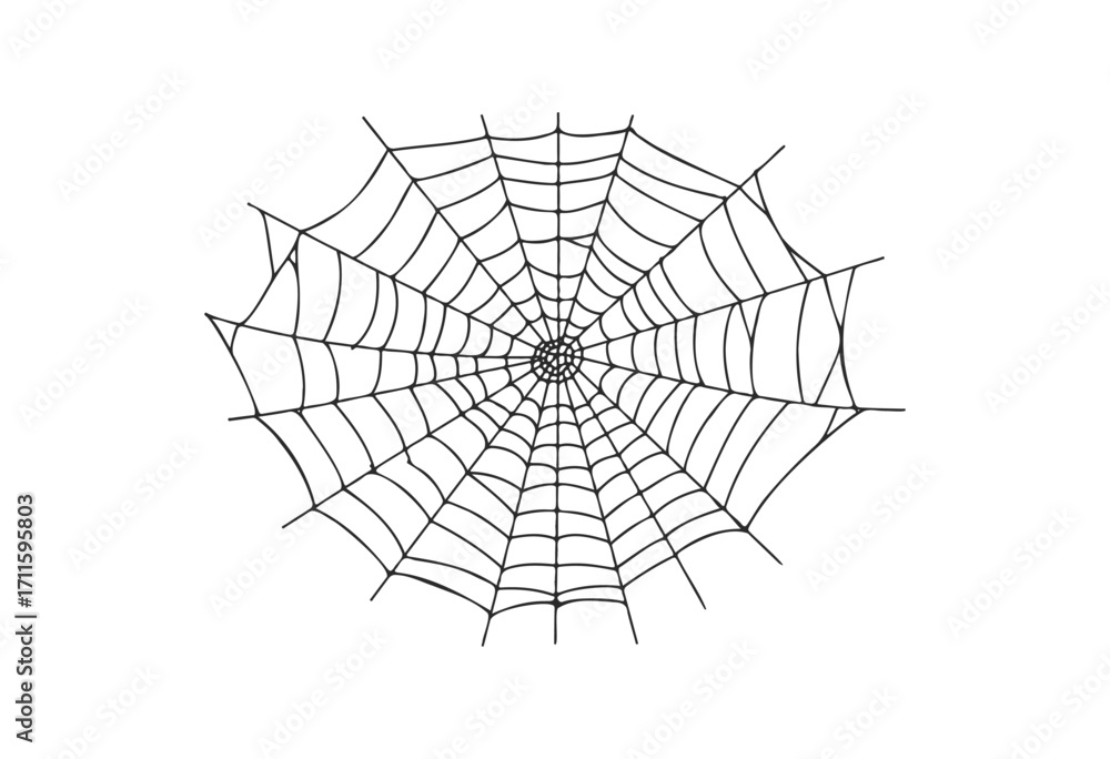 Obraz premium Intricate circular spider web design - stock vector