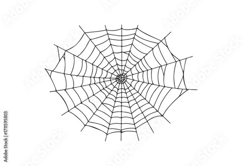 Intricate circular spider web design - stock vector