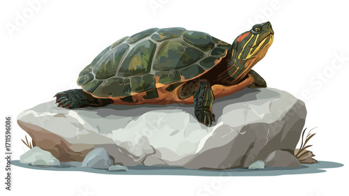 A digital illustration depicts a red-eared slider turtle resting on a light gray rock partially submerged in water. The turtle is shown in detail, with its characteristic red markings on its head