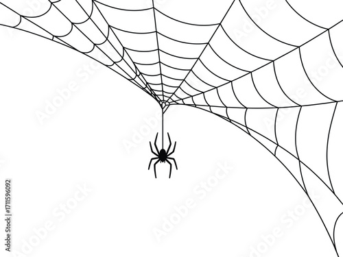 Delicate spiderweb with a single spider suspended by a thread against a clean white background