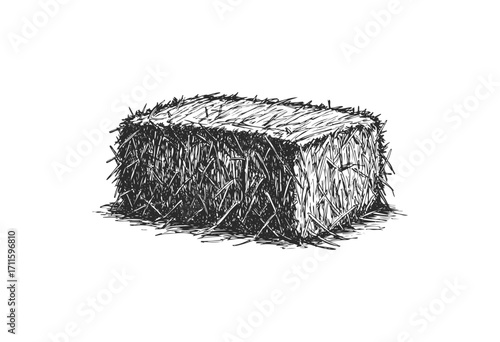 Detailed sketch of a rectangular hay bale - stock vector