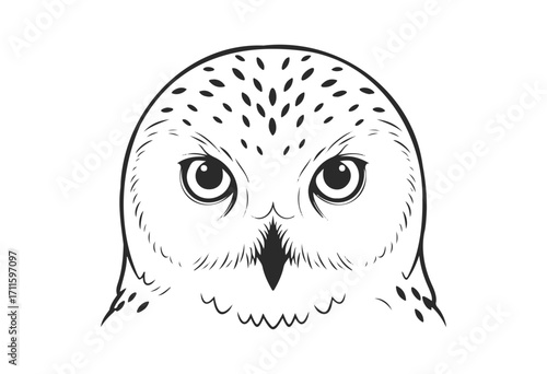 Black and white illustration of a snowy owl face with intricate details - stock vector