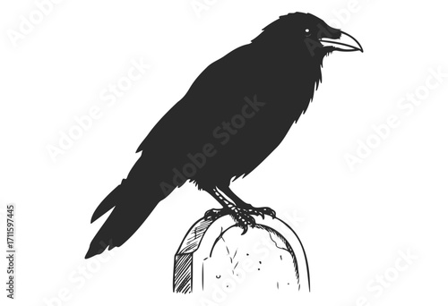 Silhouette of a raven perched on a rock with detailed feather patterns - stock vector
