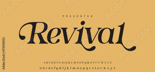 Luxury alphabet letters font and number. Typography elegant wedding classic lettering serif fonts decorative vintage retro concept. vector illustration