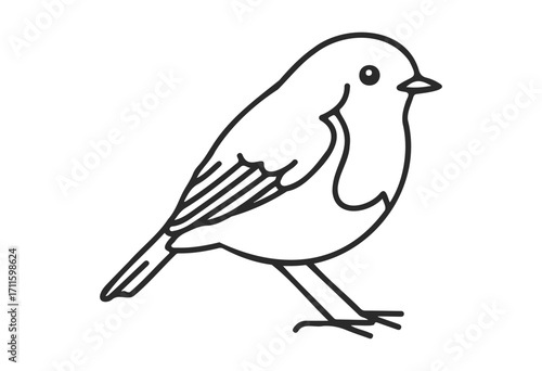 Outline of a robin perched on branch: simple line drawing of songbird - stock vector