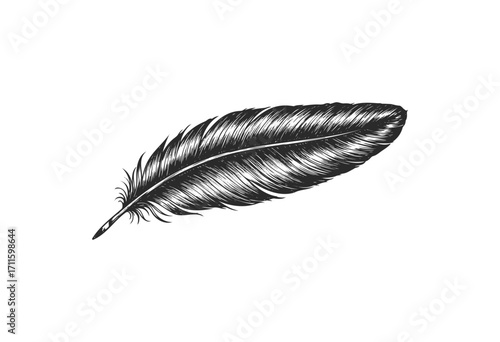 Intricate black feather sketch - stock vector