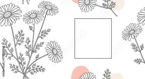 Detailed Hand-Drawn Chamomile Flowers with Delicate Petals and Stems.