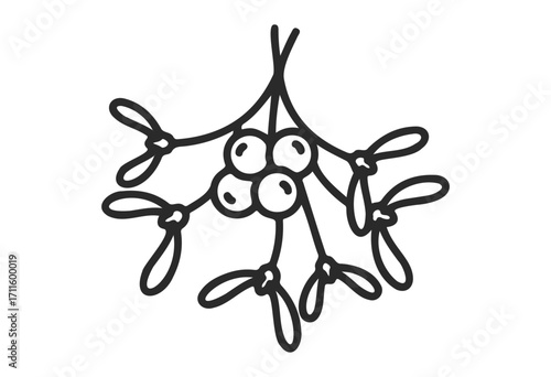 Simple outline of mistletoe with berries and leaves - stock vector