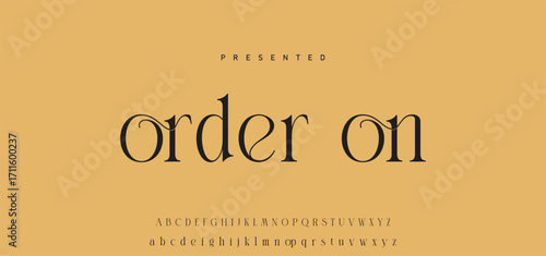 Elegant Font Uppercase Lowercase Number And Ampersand. Classic Lettering Minimal Fashion Designs. Typography modern serif fonts regular decorative vintage concept. vector illustration.