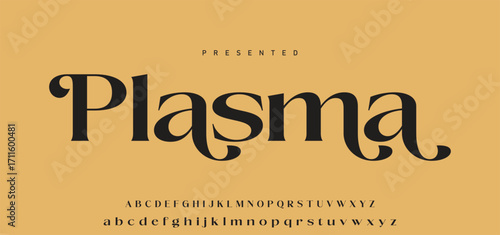 Elegant Font Uppercase Lowercase Number And Ampersand. Classic Lettering Minimal Fashion Designs. Typography modern serif fonts regular decorative vintage concept. vector illustration.