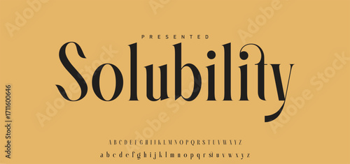 Elegant Font Uppercase Lowercase Number And Ampersand. Classic Lettering Minimal Fashion Designs. Typography modern serif fonts regular decorative vintage concept. vector illustration.