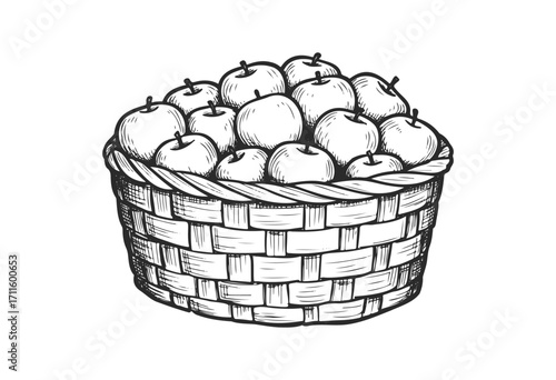Hand-drawn basket of apples with intricate woven design - stock vector