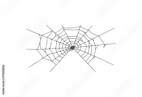 Intricately designed spider web - stock vector