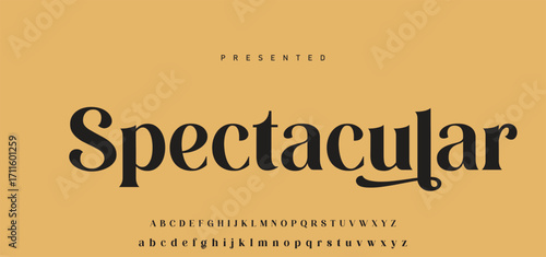 Elegant Font Uppercase Lowercase Number And Ampersand. Classic Lettering Minimal Fashion Designs. Typography modern serif fonts regular decorative vintage concept. vector illustration.