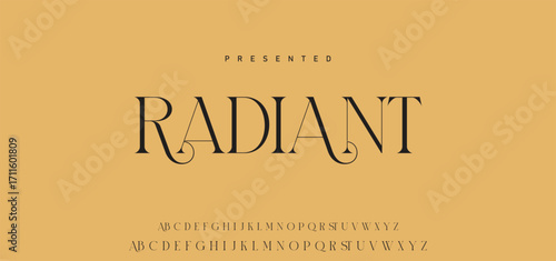 Elegant Font Uppercase Lowercase Number And Ampersand. Classic Lettering Minimal Fashion Designs. Typography modern serif fonts regular decorative vintage concept. vector illustration.