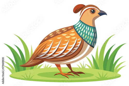 Colorful quail standing on green grass in a vibrant nature setting