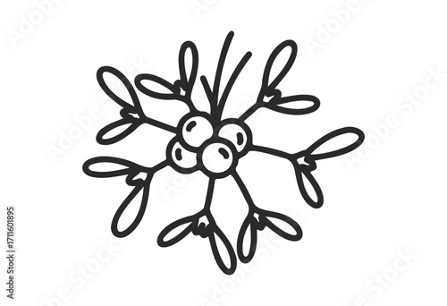 Black and white mistletoe illustration with berries and leaves - stock vector