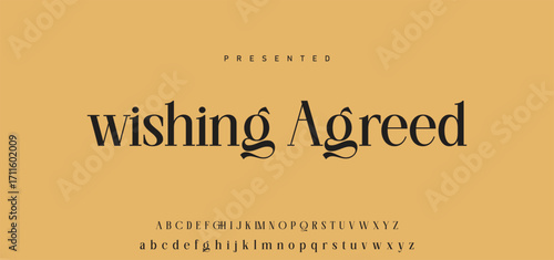 Elegant Font Uppercase Lowercase Number And Ampersand. Classic Lettering Minimal Fashion Designs. Typography modern serif fonts regular decorative vintage concept. vector illustration.