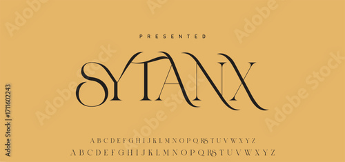 Elegant Font Uppercase Lowercase Number And Ampersand. Classic Lettering Minimal Fashion Designs. Typography modern serif fonts regular decorative vintage concept. vector illustration.