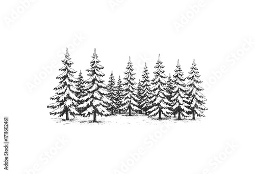 Snow-covered pine trees in winter forest illustration - stock vector