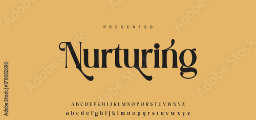 Elegant Font Uppercase Lowercase Number And Ampersand. Classic Lettering Minimal Fashion Designs. Typography modern serif fonts regular decorative vintage concept. vector illustration.