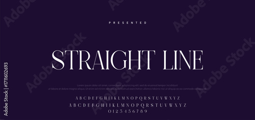 Elegant Font Uppercase Lowercase Number And Ampersand. Classic Lettering Minimal Fashion Designs. Typography modern serif fonts regular decorative vintage concept. vector illustration.