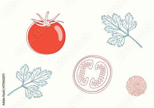 Fresh red tomato with green herbs and a slice of tomato.