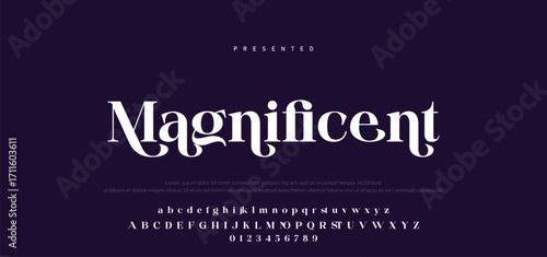Elegant Font Uppercase Lowercase Number And Ampersand. Classic Lettering Minimal Fashion Designs. Typography modern serif fonts regular decorative vintage concept. vector illustration.