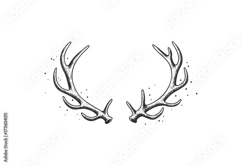 Detailed antler illustration with natural splatter effect - stock vector