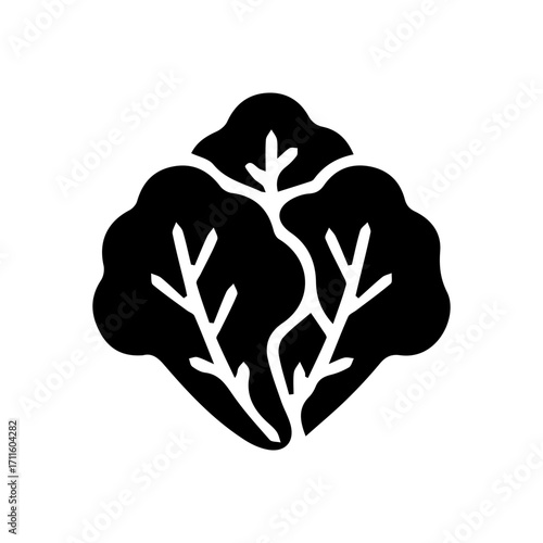Lettuce leaf icon