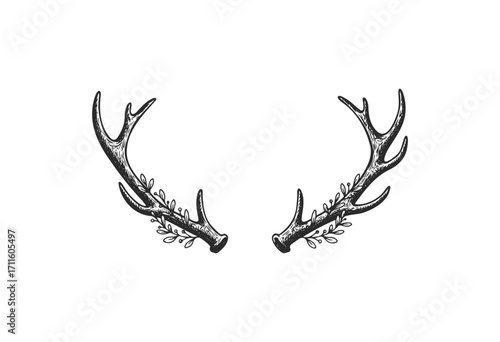 Detailed black and white deer antlers with ornamental branch design - stock vector