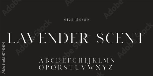 Elegant font alphabet logo. Typography Beauty fashion luxury classic letters serif fonts decorative wedding vintage retro logos. vector illustration.