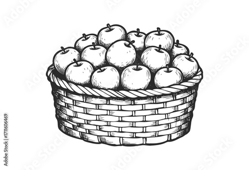 Hand-drawn basket of apples in vintage sketch style - stock vector