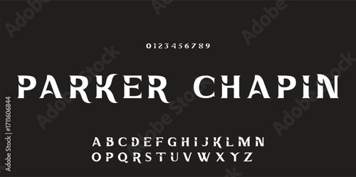 Elegant font alphabet logo. Typography Beauty fashion luxury classic letters serif fonts decorative wedding vintage retro logos. vector illustration.