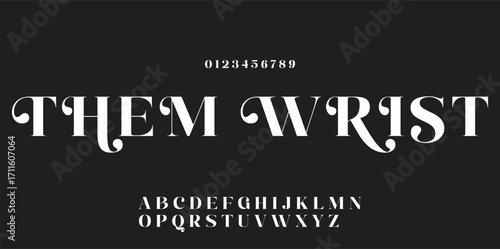 Elegant font alphabet logo. Typography Beauty fashion luxury classic letters serif fonts decorative wedding vintage retro logos. vector illustration.