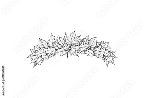 Black and white autumn leaf arch outline design for coloring pages and art projects - stock vector