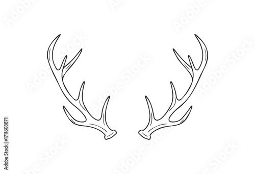 Minimalist outline of deer antlers - stock vector