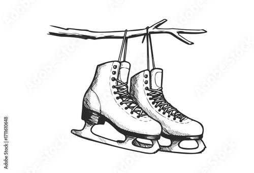 Hanging ice skates on branch illustration - stock vector
