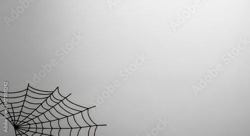 Eerie black spiderweb design element casts a spooky Halloween shadow on light background