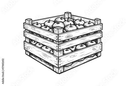 Wooden crate filled with apples in vintage sketch style - stock vector