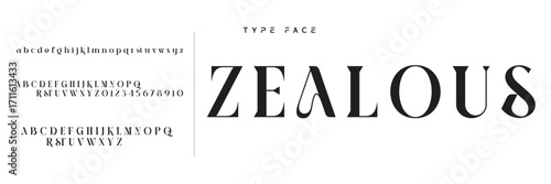 Elegant Font Uppercase Lowercase and Number. Classic Lettering Minimal Fashion Designs. Typography modern serif fonts regular decorative vintage concept. vector illustration