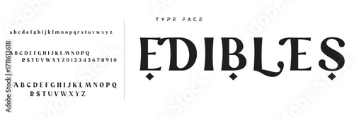 Elegant Font Uppercase Lowercase and Number. Classic Lettering Minimal Fashion Designs. Typography modern serif fonts regular decorative vintage concept. vector illustration