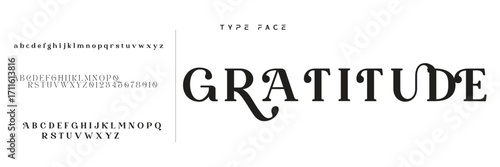 Elegant Font Uppercase Lowercase and Number. Classic Lettering Minimal Fashion Designs. Typography modern serif fonts regular decorative vintage concept. vector illustration