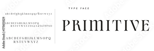 Elegant Font Uppercase Lowercase and Number. Classic Lettering Minimal Fashion Designs. Typography modern serif fonts regular decorative vintage concept. vector illustration