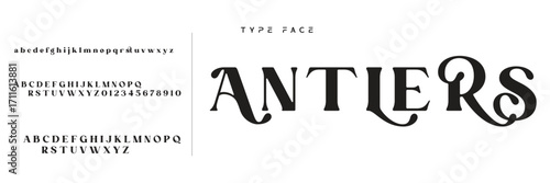 Elegant Font Uppercase Lowercase and Number. Classic Lettering Minimal Fashion Designs. Typography modern serif fonts regular decorative vintage concept. vector illustration