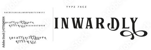 Elegant Font Uppercase Lowercase and Number. Classic Lettering Minimal Fashion Designs. Typography modern serif fonts regular decorative vintage concept. vector illustration