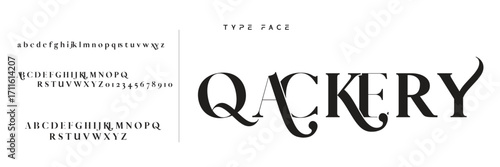 Elegant Font Uppercase Lowercase and Number. Classic Lettering Minimal Fashion Designs. Typography modern serif fonts regular decorative vintage concept. vector illustration