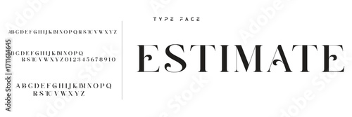 Elegant Font Uppercase Lowercase and Number. Classic Lettering Minimal Fashion Designs. Typography modern serif fonts regular decorative vintage concept. vector illustration
